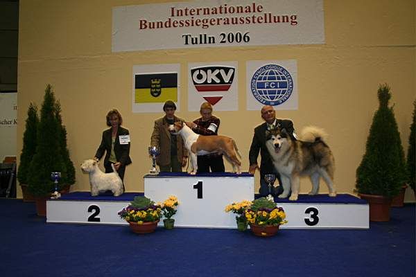 International Bundeswinner Show in Tulln 2006